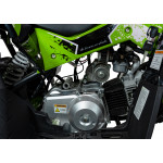 Detská štvorkolka ATV RENEGADE HIPERFECT 110CC- zelená